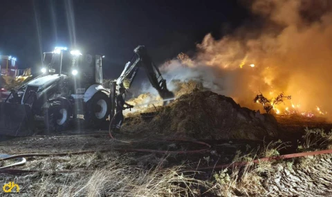5 bin saman balyası kül oldu