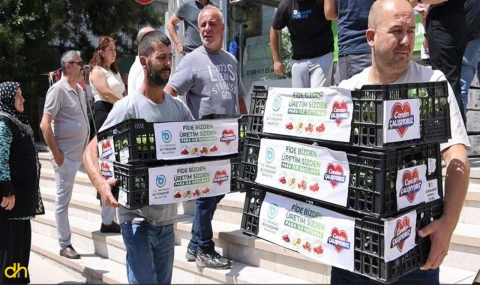 Büyükşehir Belediyesinden kışlık sebze üretimine destek