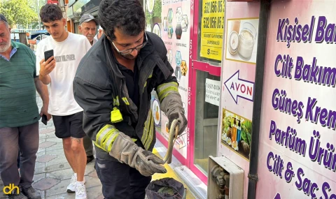 Doğalgaz kutusuna giren yılanı itfaiye ekipleri çıkardı
